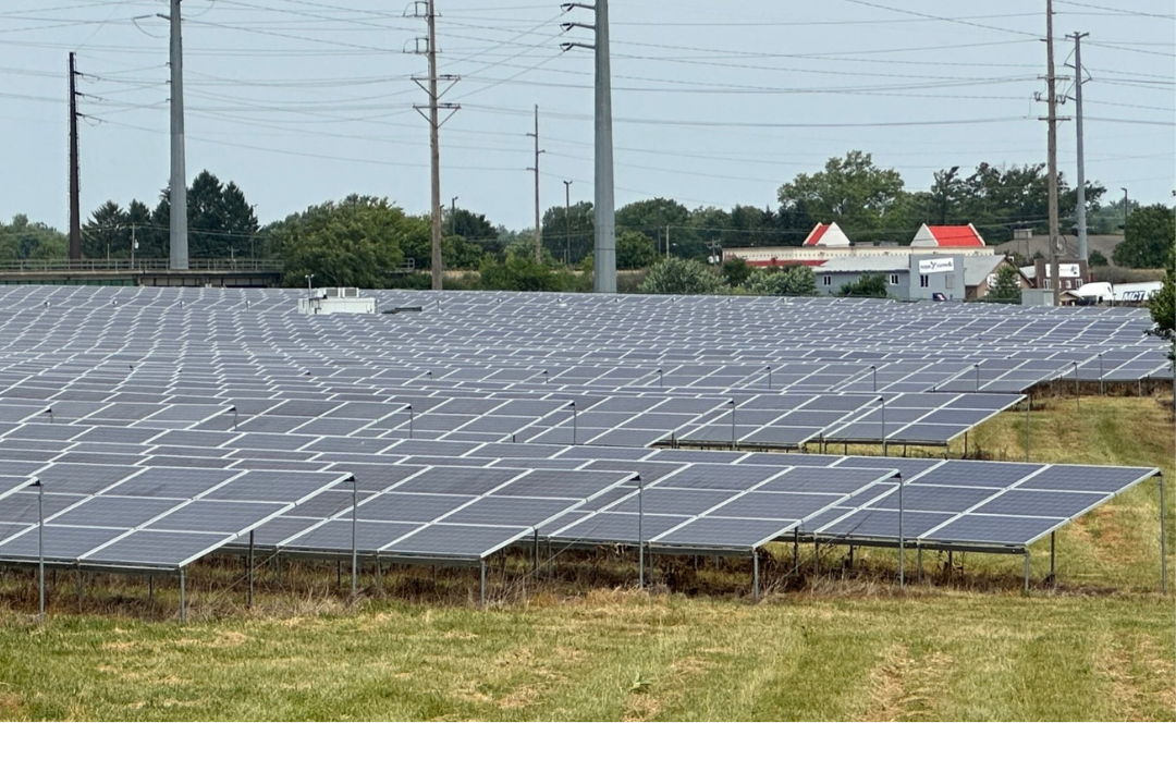 Solar farm with ground-mounted panels